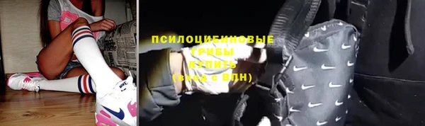 ешки Алексин
