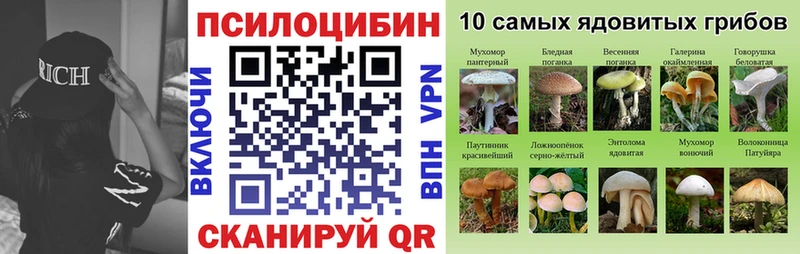 Галлюциногенные грибы GOLDEN TEACHER Сухиничи